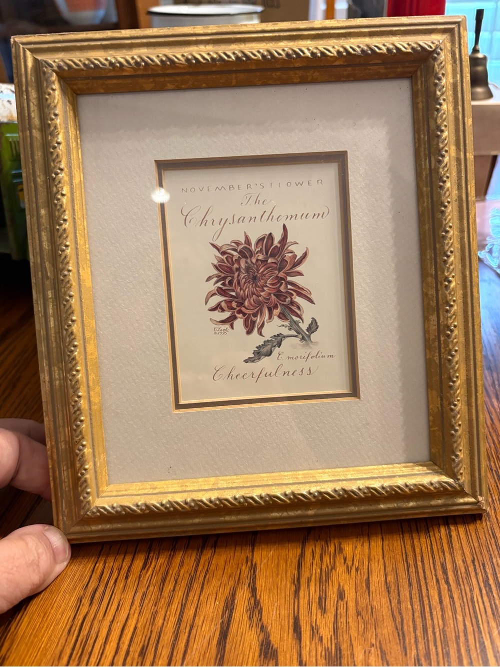 Gold Framed Chrysanthemum Floral Art Print in Burgundy